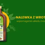 Nalewka z wrotyczu "Prostavin" Hildegard von Bingen, wspomaganie układu moczowego. Zielone tło z ziołowymi motywami.