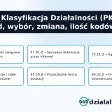 Przykładowe kody PKD: działalność związana z oprogramowaniem, sprzedaż detaliczna przez Internet, agencje reklamowe, restauracje, edukacja, fryzjerstwo.