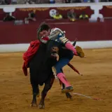 Un torero es embestido por un toro en la arena. El torero, con su traje de luces, cae al suelo, demostrando que una retirada a tiempo es una victoria, significado de prudencia.