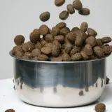 Transition croquette chien diarrhée : des granulés tombent dans une gamelle en inox, certains se dispersent autour.