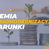 Premia termomodernizacyjna: rosnące stosy monet z sadzonkami symbolizują inwestycję w przyszłość i oszczędności.