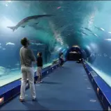 Oceanarium Kołobrzeg - atrakcje, ceny biletów i godziny otwarcia