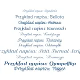 Przykłady napisów w różnych stylach, idealne do projektów z darmowe czcionki z polskimi znakami.