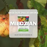 Ekologiczna ochrona przed chorobami warzyw i owoców. Czy miedzian jest szkodliwy? Preparat Miedzian 50 WP zwalcza choroby roślin.
