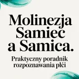 Molinezje samiec a samica. Praktyczny poradnik rozpoznawania płci. Woda w akwarium mieni się odcieniem turkusu, jak piękne molinezje kolory.