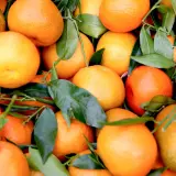 Frische, saftige Orangen mit grünen Blättern, bereit zur Lagerung.