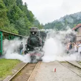 Para, parowozy i uśmiechnięte twarze – to idealne bieszczady z dziećmi. Rodziny z dziećmi podziwiają zabytkowy pociąg parowy.