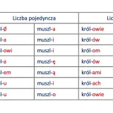Tabela ukazuje deklinację rzeczowników "król" i "muszla" w liczbie pojedynczej i mnogiej, prezentując odmianę przez przypadki.
