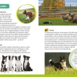 Atlas psów dla dzieci: Książki i aplikacje wybierz najlepszy!