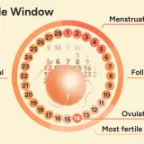 Cykl płciowy: owulacja wypada ok. 14 dni po okresie. Wykres pokazuje fazy: menstruacja, folikularna, owulacja i lutealna.