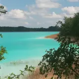Turkusowe jezioro w Koninie, otoczone zielenią i trzcinami, lśni w słońcu.