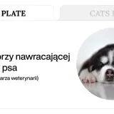 Słodki szczeniak śpi, podczas gdy tekst informuje o nawracającej biegunce u psa i wspomina o smecta dla psa.