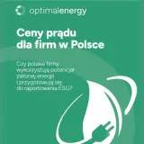 Ceny prądu dla firm w Polsce. Czy polskie firmy wykorzystują potencjał zielonej energii i przygotowują się do raportowania ESG?