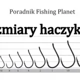 Jaki haczyk na jesiotra? Rozmiar, kształt, typ - kompletny przewodnik