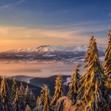 Zimowy widok z **Turbacza z Koninek** na ośnieżone Tatry o wschodzie słońca. Świerki pokryte szronem błyszczą w złotym świetle.