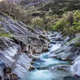El **camino del agua** serpentea entre rocas erosionadas y vegetación verde, creando un paisaje natural sereno.