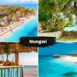 Zanzibar: Co zobaczyć? Najpiękniejsze plaże i atrakcje wyspy
