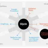Glycin wirkt auf Entgiftung, Energieproduktion, Bindegewebsgesundheit und mehr. Es beeinflusst auch Glukoseproduktion und oxidativen Stress.