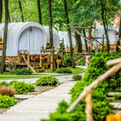 Wagony kempingowe w stylu western, idealne na weekend z Krakowa. Drewniane ścieżki i zielone krzewy tworzą malowniczy krajobraz.