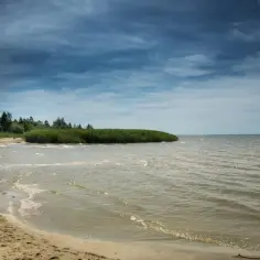 Piękna działka z linią brzegową jeziora. Piaszczysta plaża, wysoka trawa i drzewa tworzą malowniczy krajobraz.