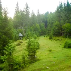 Malownicza działka leśna z drewnianą altanką pośród zielonych drzew i trawy.