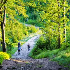 Trasy rowerowe Ustroń: Odkryj najlepsze szlaki dla każdego kolarza