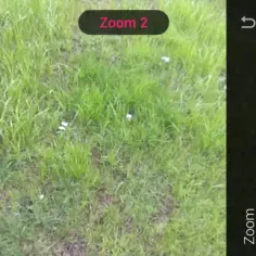 Jak zmienić ISO w iPhone, aby poprawić jakość zdjęć?