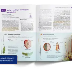 Nowa era podręczniki biologia: mchy, ich budowa, rozmnażanie i znaczenie. Gametofit dominuje nad sporofitem.