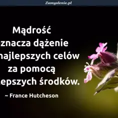 Mądrość syracha cytaty: dążenie do najlepszych celów najlepszymi środkami. Piękny kwiat na ciemnym tle.