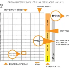Schemat siatki leśnej: wysokość 160 cm, druty pionowe i poziome, różne rozmiary oczek. Co ile słupki do siatki? Schemat pokazuje rozmieszczenie drutów.