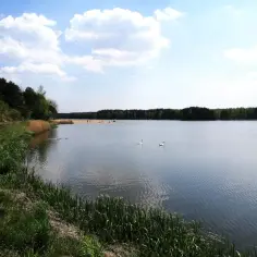 Zalew Zielona z łabędziami i ludźmi na plaży w tle.