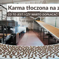 Tłoczona czy ekstrudowana? Wybierz karmę idealną dla trawienia psa