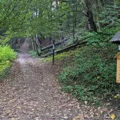 Który szlak na Sokolicę z Krościenka wybrać i dlaczego? Poradnik!