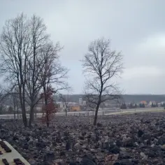 Co zostaje z Auschwitz: filozoficzne konsekwencje homo sacer w myśli Agambena