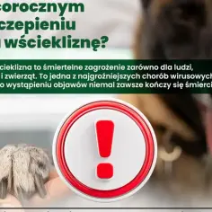 Ostrzeżenie przed wścieklizną. Zdjęcie przedstawia łapę zwierzęcia i symbol wykrzyknika, podkreślając śmiertelne zagrożenie.