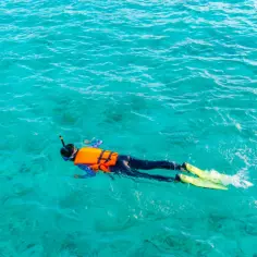 Osoba w pomarańczowej kamizelce i żółtych płetwach pływa na powierzchni turkusowej wody, ciesząc się **snorkelingu**.