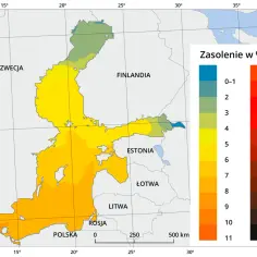 Mapa pokazuje zasolenie Bałtyku. Czy Bałtyk jest słony? Tak, ale jego zasolenie jest zróżnicowane, od 0-1‰ w Zatoce Botnickiej do 28-31‰ w pobliżu Danii.