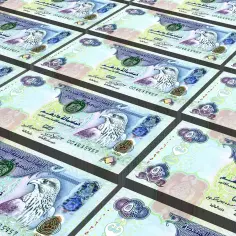 Stos banknotów z wizerunkiem sokoła, przedstawiający walutę emiratów arabskich.