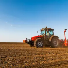 Gdzie najtańsza ziemia ogrodowa? Sprawdź najlepsze oferty w 2025 roku.