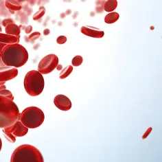 Czerwone krwinki unoszą się w strumieniu, niektóre są większe, inne mniejsze, co może sugerować zmienność wskaźnika rdw-cv.