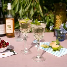 Jak przygotować idealny drink z prosecco i sokiem z bzu na lato