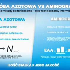 Porównanie próby azotowej i aminogramu. Aminogram ujawnia profil aminokwasów, w tym EAA i BCAA, pokazując faktyczny skład białka i jego jakość.
