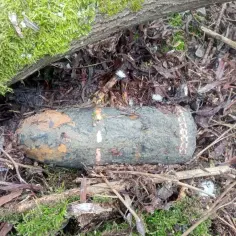 Stary, skorodowany pocisk artyleryjski leży wśród liści i mchu, przypominając o przeszłości.