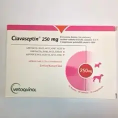 Clavaseptin dla psa: Na co? Dawkowanie, skutki uboczne, opinie