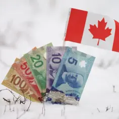 Ile zarabia dekarz w Kanadzie? Zaskakujące fakty o wynagrodzeniach