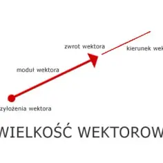 Co to jest wektor w fizyce? Zrozumienie kluczowych właściwości