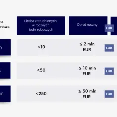 Tabela klasyfikuje małe przedsiębiorstwa: mikro, małe i średnie, według liczby zatrudnionych, obrotu rocznego i sumy bilansowej.