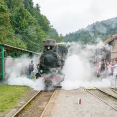 Para rodzinna wycieczka w Bieszczady z dziećmi. Parowóz Bieszczadzkiej Kolejki Leśnej wydaje kłęby pary, a tłum ludzi, w tym dzieci, z zaciekawieniem obserwuje.