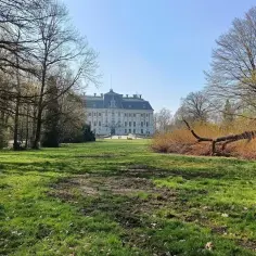 Pałac w Pszczynie i jego park to idealne atrakcje na weekend. Wiosenna zieleń, majestatyczna budowla i powalone drzewo tworzą malowniczy krajobraz.