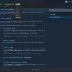 Ustawienia prywatności profilu Steam. Możesz zarządzać widocznością swoich gier, listy znajomych i ekwipunku. Kod URL Steam: steamcommunity.com/id/faits/edit/settings.